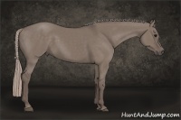 Horse Color:Silver Grullo 