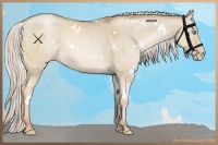 Horse Color:White Spotted Silver Smoky Grullo Pearl