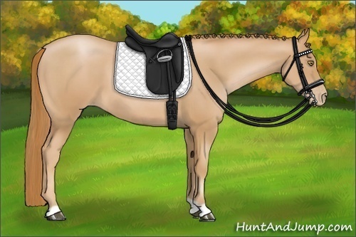 Horse Color:Chestnut Pearl 