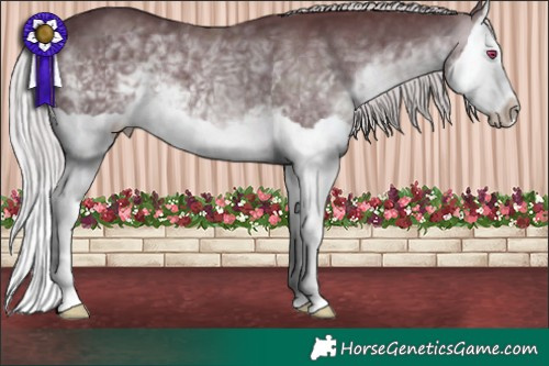 Horse Color:Chocolate Silver Brown Chinchilla Splash 