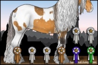 Horse Color:Buckskin Appaloosa and Brown Appaloosa