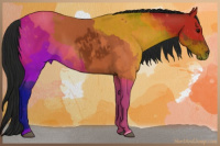 Horse Color:Gray Bay 