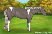Horse Color:Silver Black Tobiano