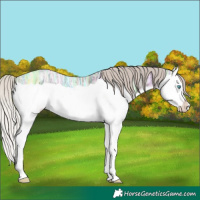 Horse Color:Silver Black Ice Splash 