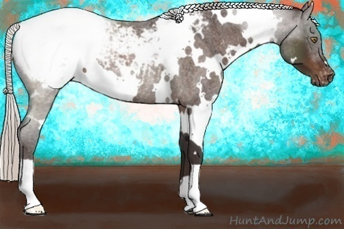 Horse Color:White Spotted Silver Brown Roan Appaloosa