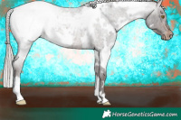 Horse Color:White Spotted Silver Brown Roan Appaloosa 