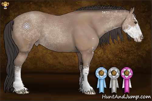 Horse Color:Classic Champagne Sabino