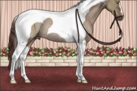 Horse Color:Liver Red Dun Tobiano Rabicano 