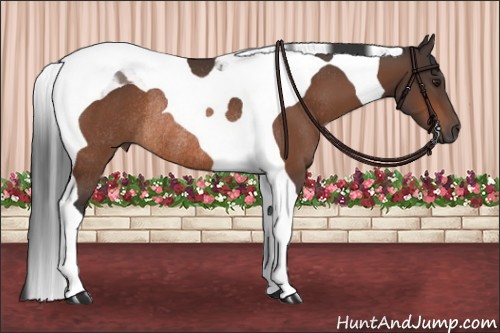 Horse Color:Bay Tobiano Rabicano