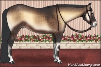 Horse Color:Brown Onyx