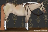 Horse Color:Liver Red Dun Sabino Tobiano Rabicano