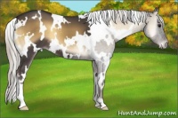 Horse Color:White Spotted Silver Smoky Blue Onyx Mushroom 