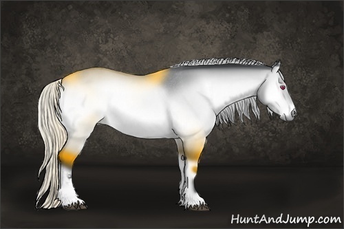 Horse Color:Silver Brown Chinchilla Onyx Rabicano 