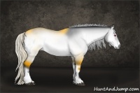 Horse Color:Silver Brown Chinchilla Onyx Rabicano 