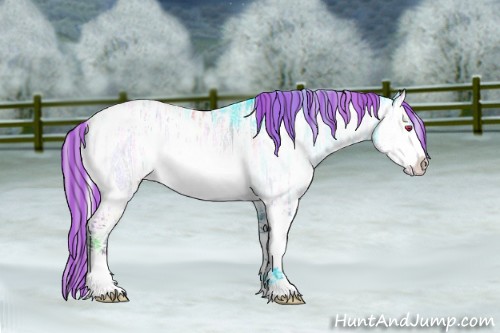 Horse Color:Painted White Spotted Silver Brown Chinchilla Ice Sabino Rabicano