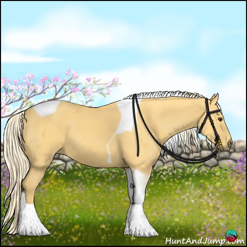 Horse Color:Palomino Tobiano 