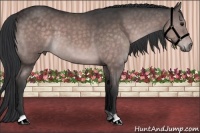 Horse Color:Platinum Brown 