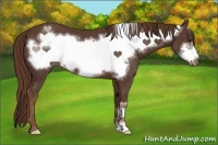 Horse Color:Liver Chestnut Frame 
