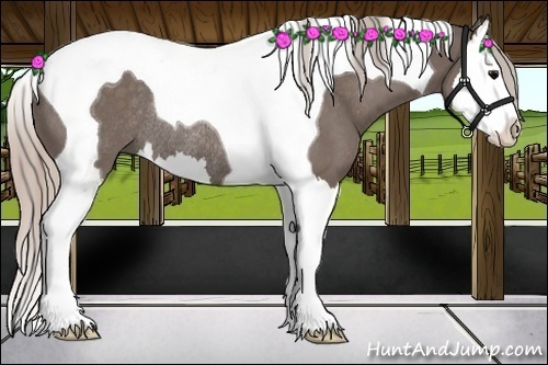 Horse Color:Silver Black Splash Tobiano Rabicano