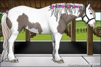 Horse Color:Silver Black Splash Tobiano Rabicano