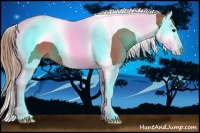 Horse Color:Chestnut Splash Tobiano