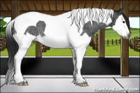 Horse Color:Gray Smoky Blue Roan Splash Tobiano