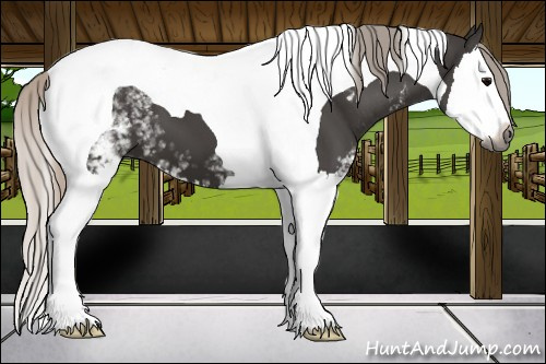 Horse Color:Gray White Spotted Silver Black Splash Tobiano 