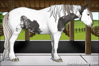 Horse Color:Gray White Spotted Silver Black Splash Tobiano 