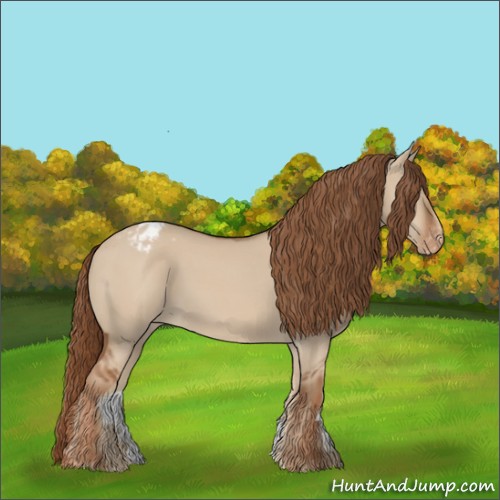 Horse Color:Red Dun Appaloosa 