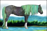 Horse Color:Painted Midnight Perlino Ice Onyx 