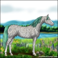 Horse Color:Painted Perlino Ice Onyx 