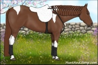 Horse Color:Chestnut Tobiano