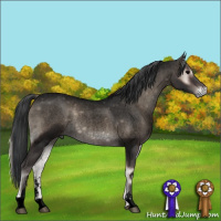 Horse Color:Void Blue Onyx Roan Sabino Brindle 