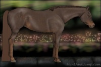 Horse Color:Liver Chestnut Frame 