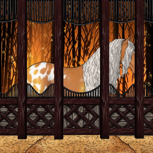 Horse Color:Silver Buckskin Sabino Appaloosa Rabicano