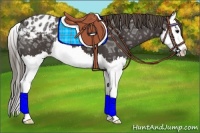 Horse Color:Smoky Black Ice Splash Appaloosa 