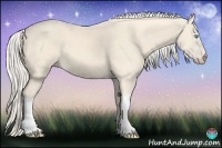 Horse Color:Cremello