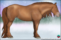 Horse Color:Gray Gold Champagne 