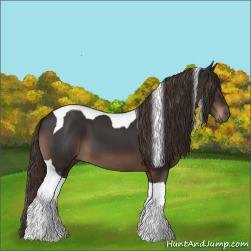 Horse Color:Liver Chestnut Tobiano 