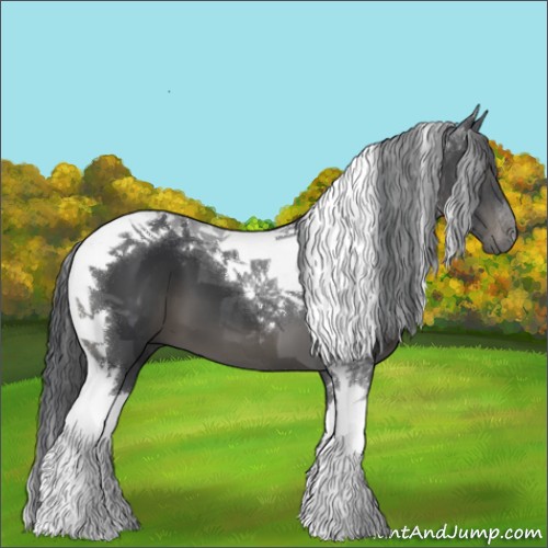 Horse Color:Black Tobiano 