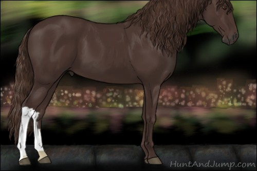 Horse Color:Liver Chestnut 