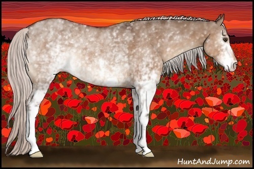 Horse Color:White Spotted Silver Bay Dun Rabicano 
