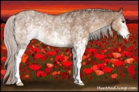 Horse Color:White Spotted Silver Bay Dun Rabicano 