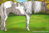 Horse Color:Silver Brown Ice Dun Tobiano 