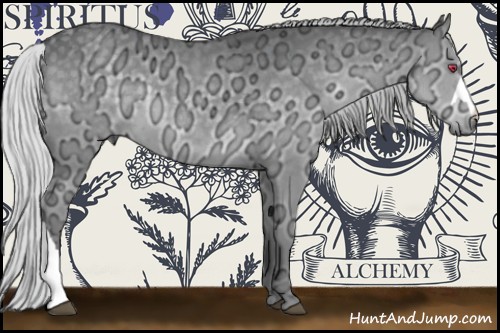 Horse Color:Silver Grullo Chinchilla Ice 