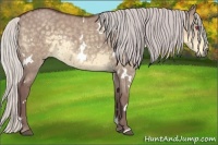 Horse Color:White Spotted Chocolate Silver Smoky Grullo Chinchilla 