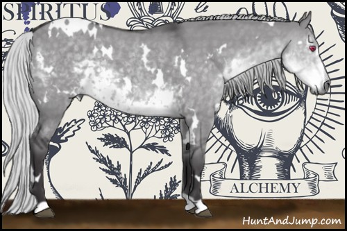 Horse Color:White Spotted Silver Smoky Grullo Chinchilla 