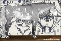 Horse Color:White Spotted Silver Smoky Grullo Chinchilla 