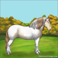 Horse Color:Smoky Black Pearl Tobiano Rabicano 