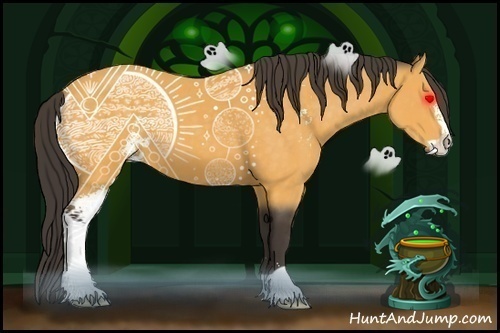 Horse Color:Buckskin Sabino